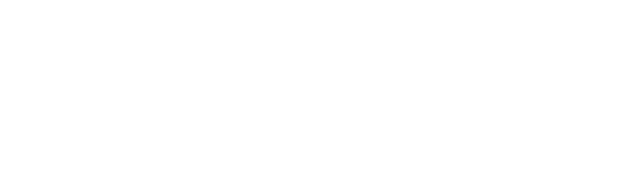 Patient Prism logo