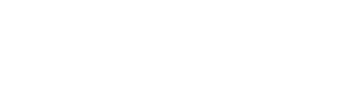 PATIENT PRISM logo